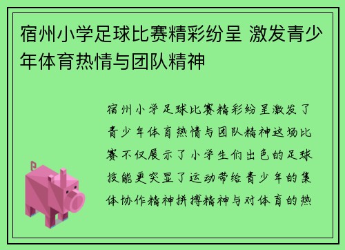 宿州小学足球比赛精彩纷呈 激发青少年体育热情与团队精神
