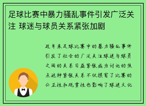 足球比赛中暴力骚乱事件引发广泛关注 球迷与球员关系紧张加剧