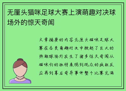 无厘头猫咪足球大赛上演萌趣对决球场外的惊天奇闻
