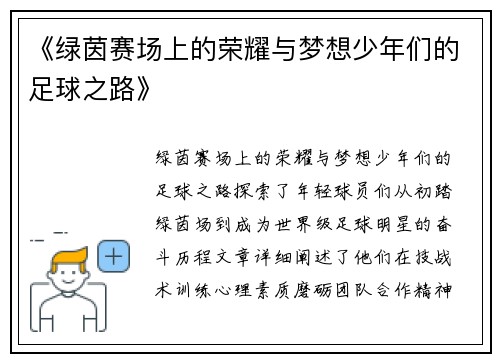 《绿茵赛场上的荣耀与梦想少年们的足球之路》