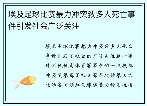 埃及足球比赛暴力冲突致多人死亡事件引发社会广泛关注