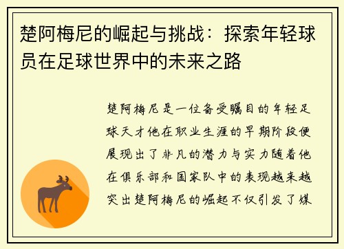 楚阿梅尼的崛起与挑战：探索年轻球员在足球世界中的未来之路